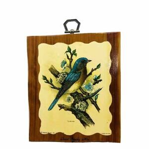 Great Smoky Mrs Bird On Plan Wall Hanger Wood hanging Plaque Picture Colorful